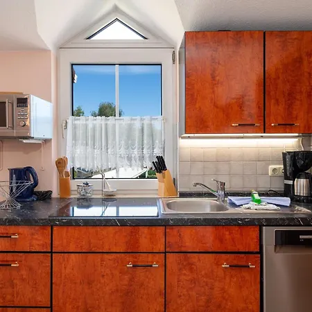 Albatros Sellin (Rugen)